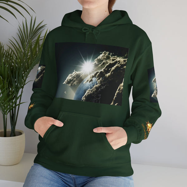Unisex Heavy Blend™ Hoodie Sweatshirt