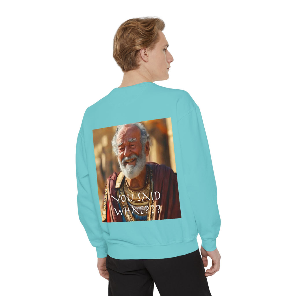 Unisex Garment-Dyed Sweatshirt -- Solon and Sonchis