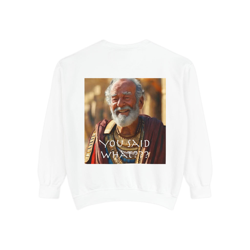 Unisex Garment-Dyed Sweatshirt -- Solon and Sonchis