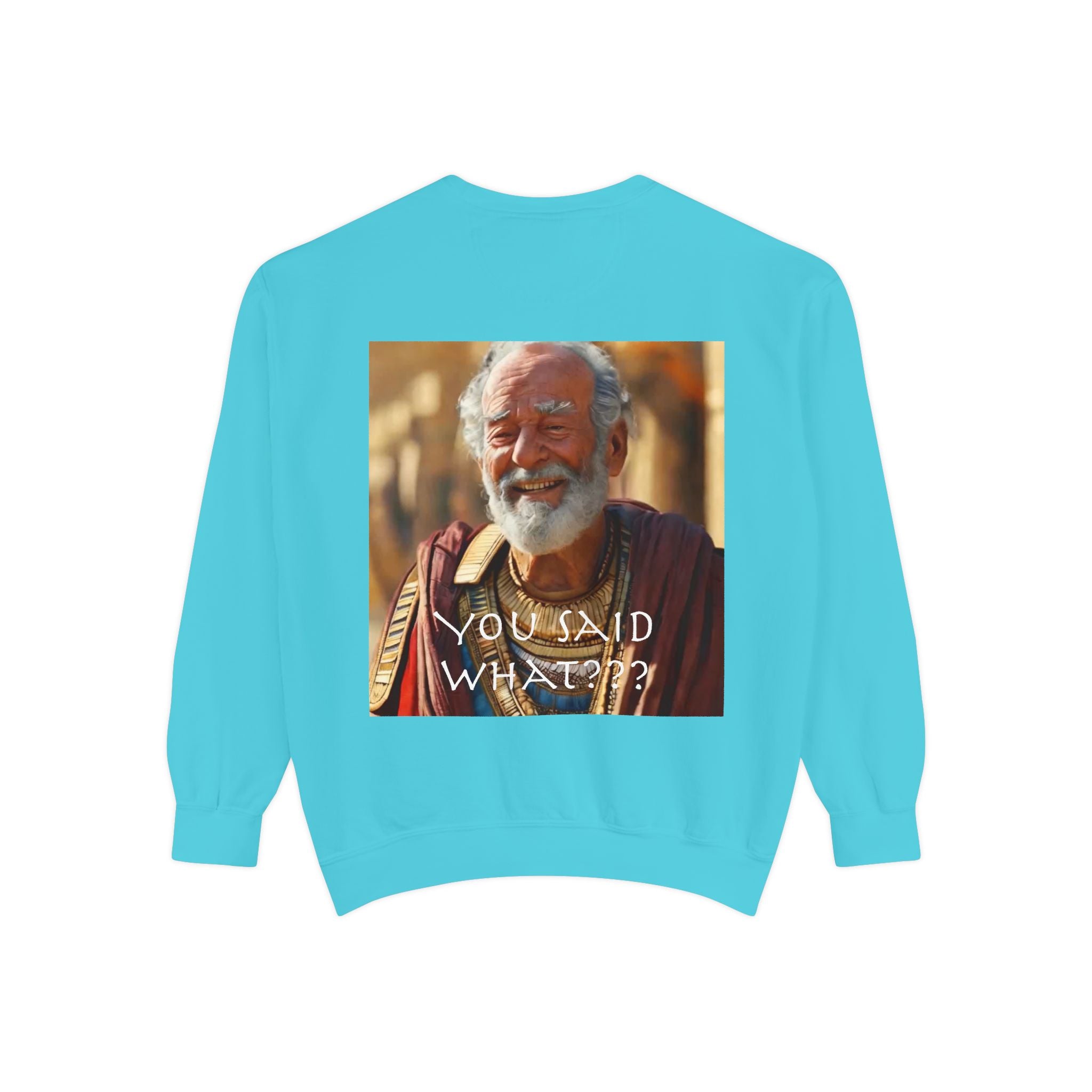Unisex Garment-Dyed Sweatshirt -- Solon and Sonchis
