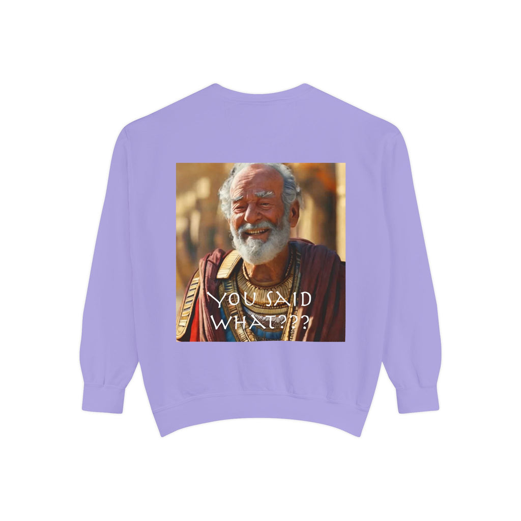 Unisex Garment-Dyed Sweatshirt -- Solon and Sonchis