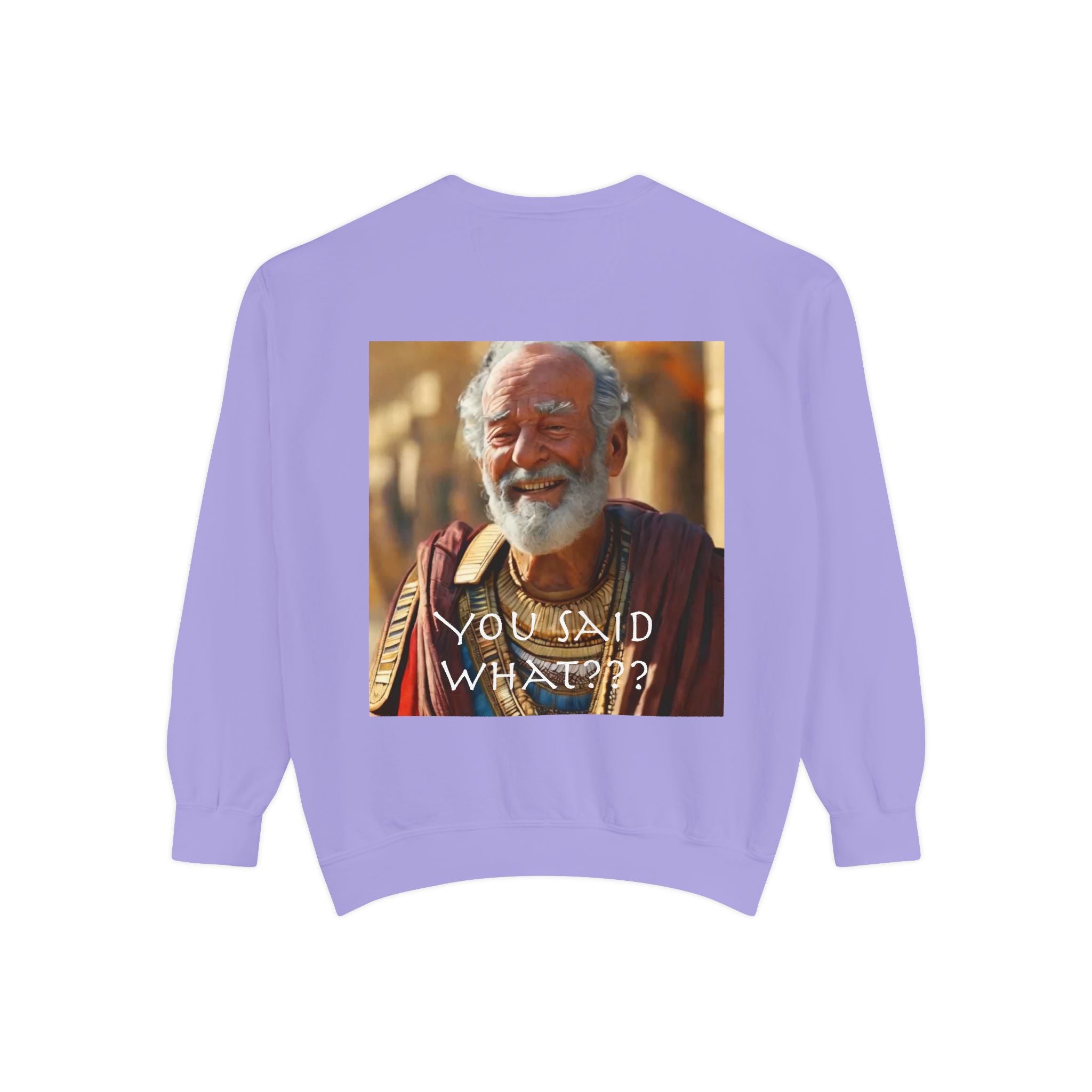 Unisex Garment-Dyed Sweatshirt -- Solon and Sonchis