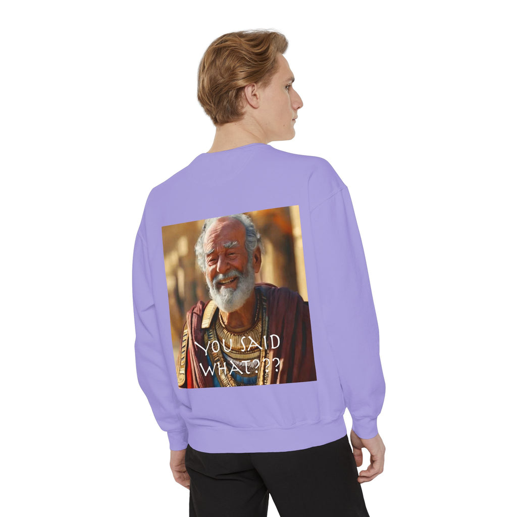 Unisex Garment-Dyed Sweatshirt -- Solon and Sonchis