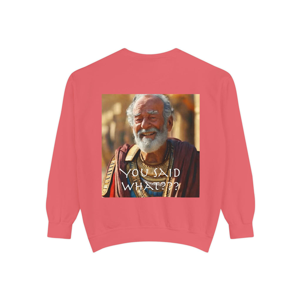 Unisex Garment-Dyed Sweatshirt -- Solon and Sonchis