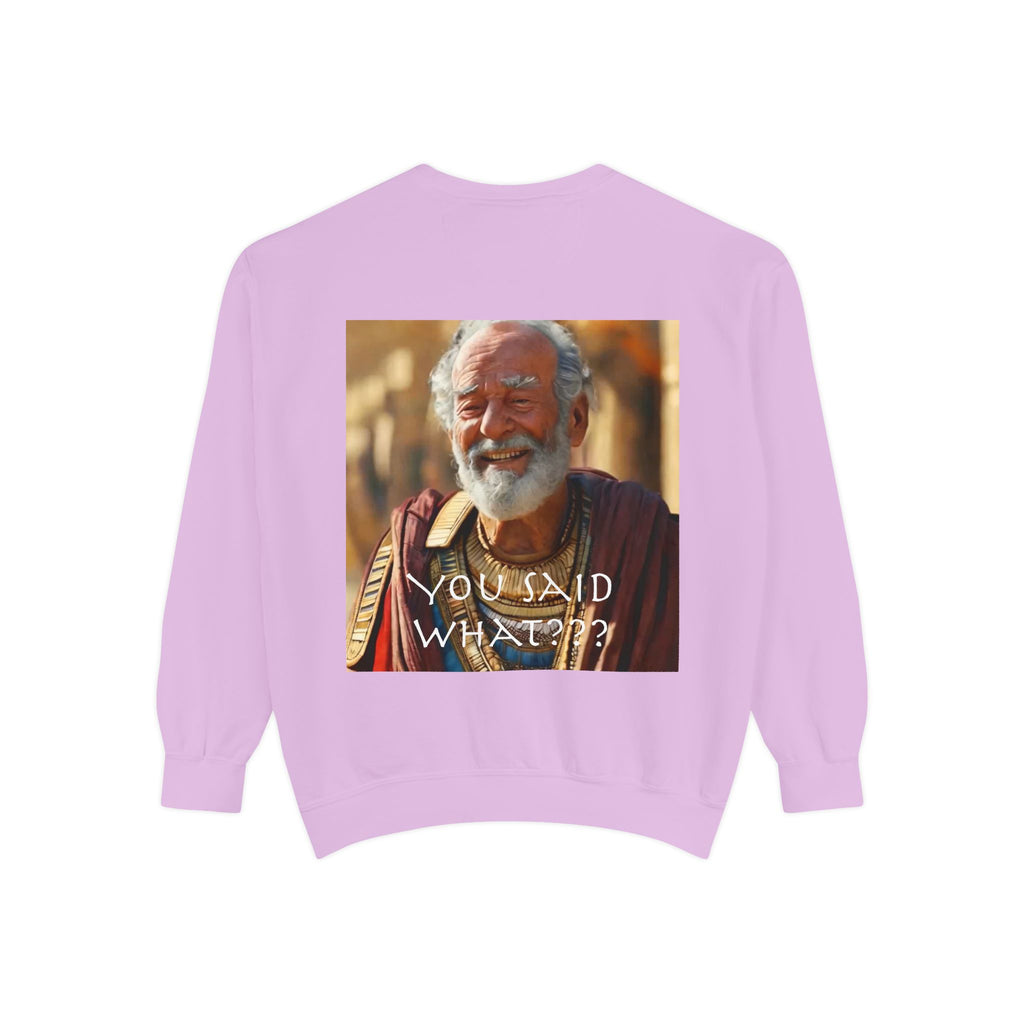 Unisex Garment-Dyed Sweatshirt -- Solon and Sonchis