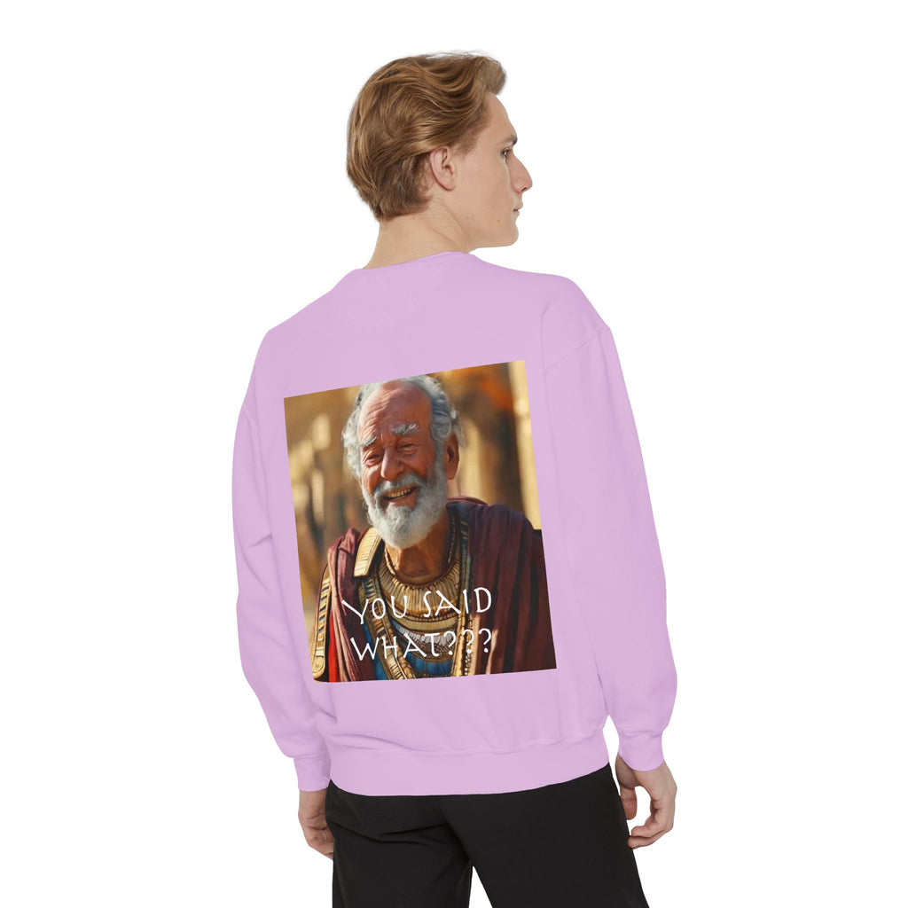 Unisex Garment-Dyed Sweatshirt -- Solon and Sonchis