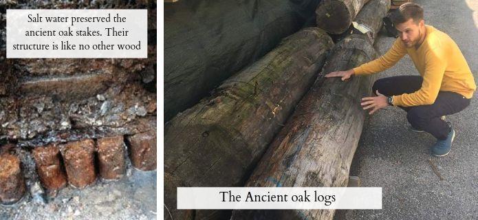 The ancient oak foundation stakes of Venice, Italy showing preservation by seawater