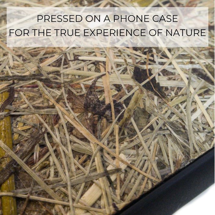 Organic Mobile Phone Case - The Seven Chakra Symbols - Alpine Hay, detail view showing dried and pressed alpine hay backing