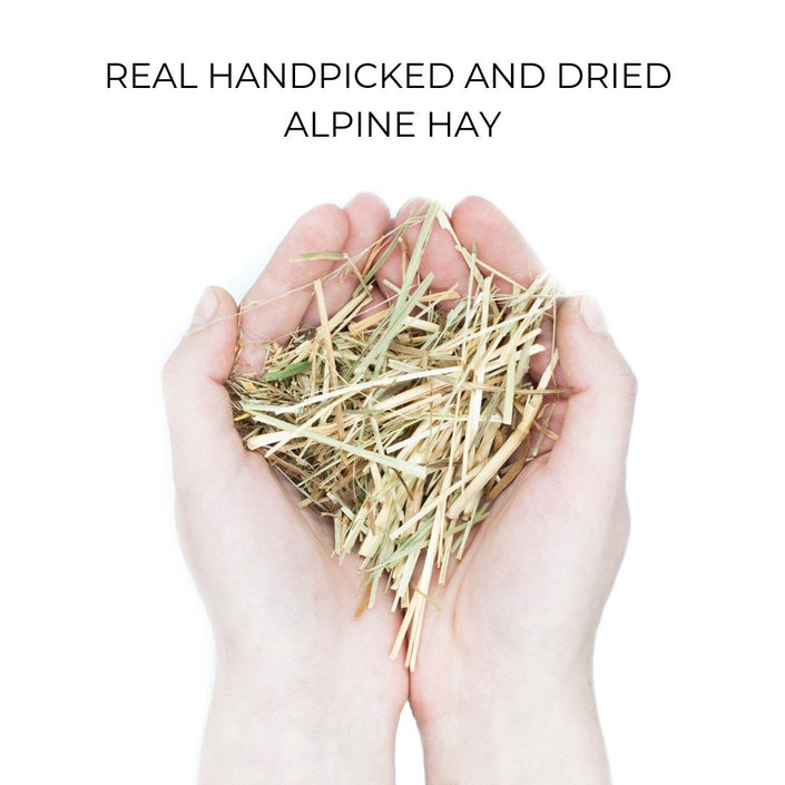 Hand picked and dried alpine hay